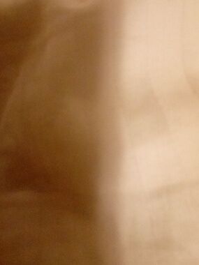 Tahari blue and white